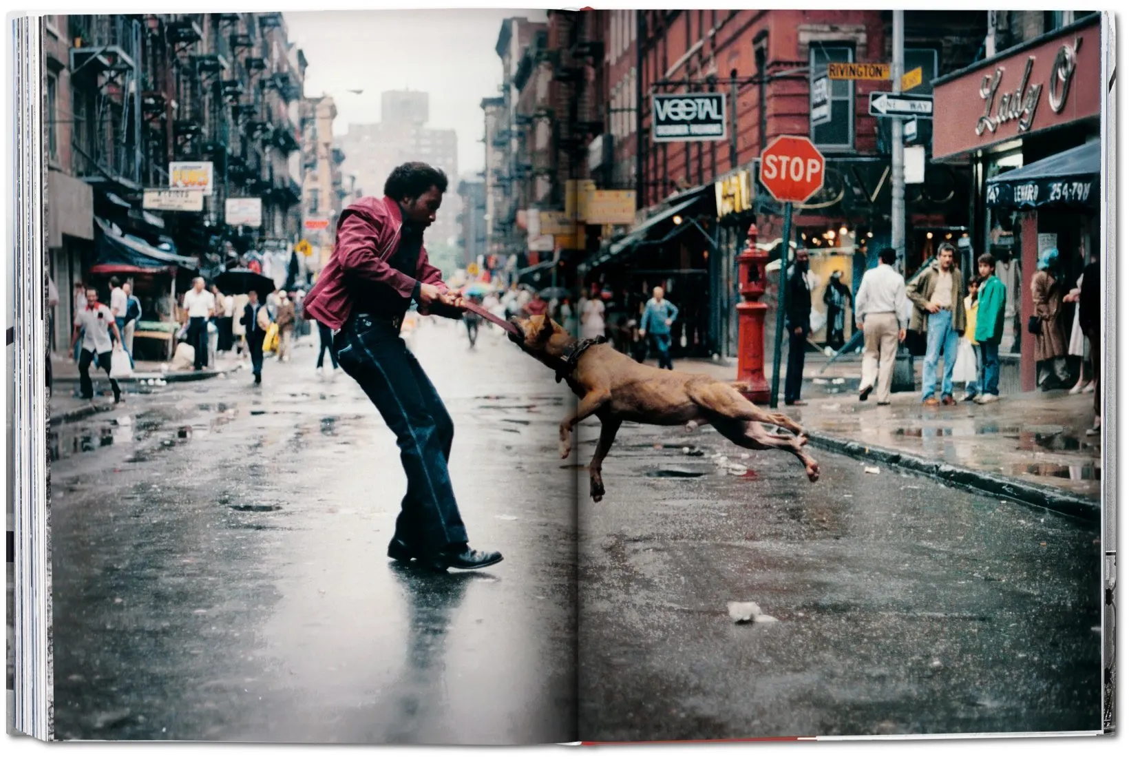 Taschen Books - New York. Portrait of a City